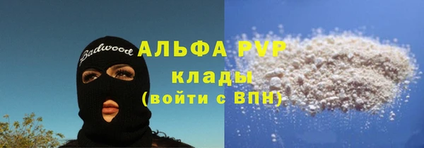 ПСИЛОЦИБИНОВЫЕ ГРИБЫ Нея