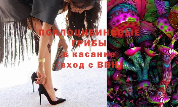 стафф Новодвинск