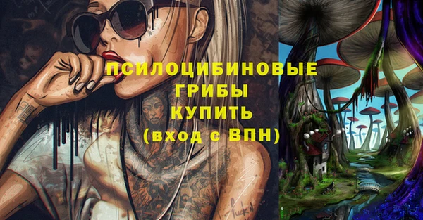 стафф Новодвинск