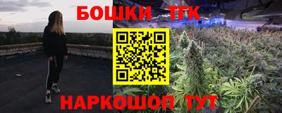 шишки Заволжье