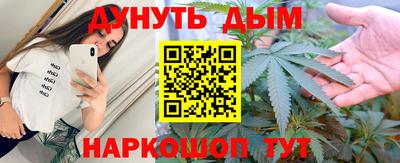 шишки Заволжье