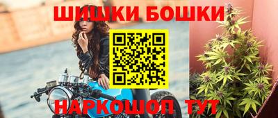 шишки Заволжье