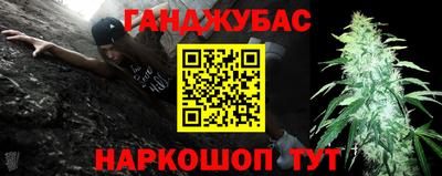 шишки Заволжье