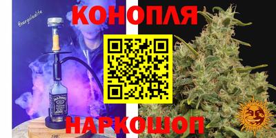 шишки Заволжье