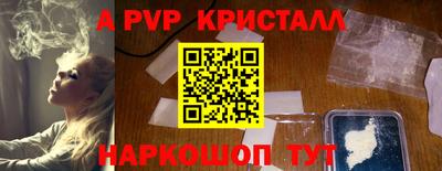 шишки Заволжье