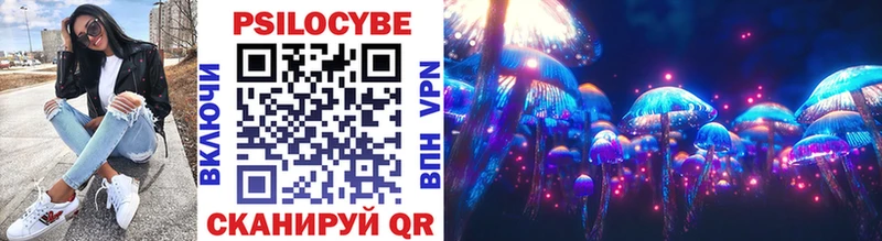 Псилоцибиновые грибы Psilocybine cubensis  Кудымкар 