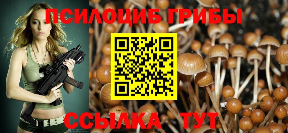 Галлюциногенные грибы мицелий  Галлюциногенные грибы Psilocybine cubensis  Кудымкар 