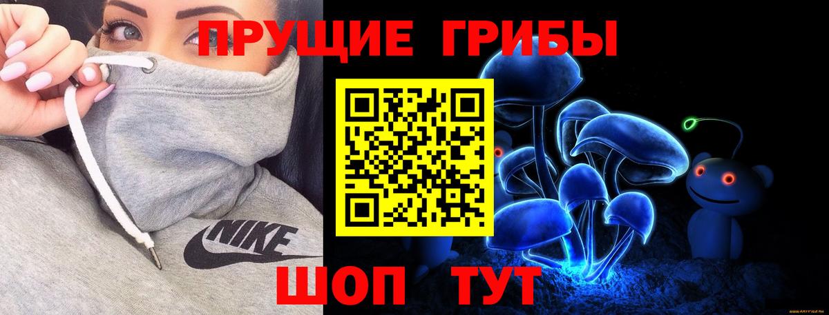 Кудымкар  Галлюциногенные грибы Psilocybine cubensis  Вход с VPN 